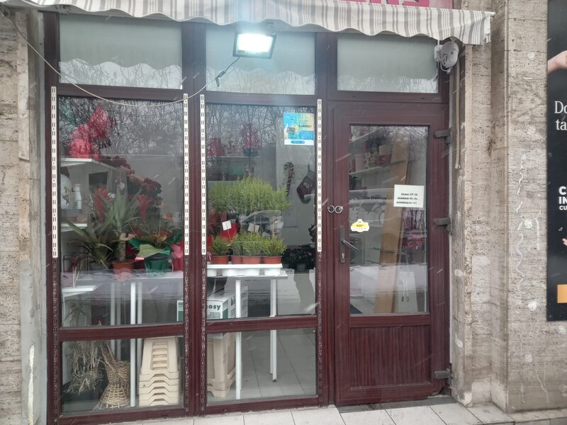 Gara De Nord, vand spatiu cu chirias stabil,