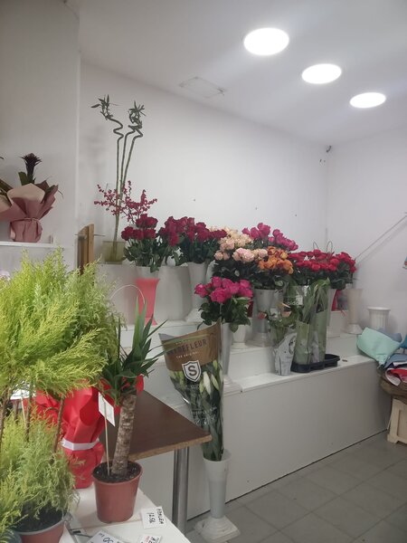 Gara De Nord, vand spatiu cu chirias stabil,