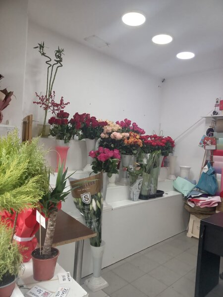 Gara De Nord, vand spatiu cu chirias stabil,